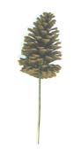 4" Natural Pine Cone Pick