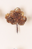 1" Gold Cone x 12 Cluster
