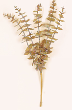 17" Glittered Eucalyptus Bush X 5