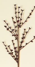 20" Mini Berry Spray
