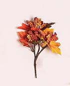 Fall Leaf & Berry Pick