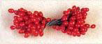 Red Holly Berry