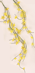 5' Double Stem Forsythia Garland