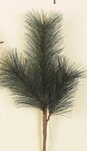 22" Long Needle Pine Spray