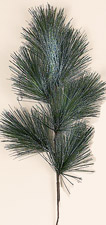 22" Frosted Pine x 7