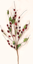 24" Berry Spray