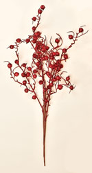 23.5" Weatherproof Berry Spray