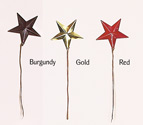 2.5" Metal Star Pick