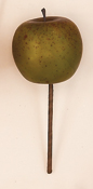 6" Weatherproof  Apple Pick