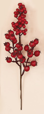13" Weatherproof Berry Pick