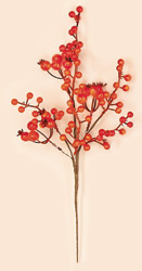 18" Weatherproof Berry Spary