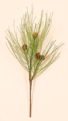 20" Needle Cone Spray