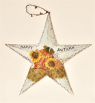 15" Tin Barn Star