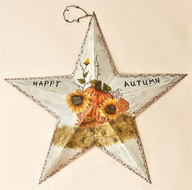 22" Star with Give Thanks