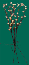 28" Cherry Blossom Light X 3 Branch