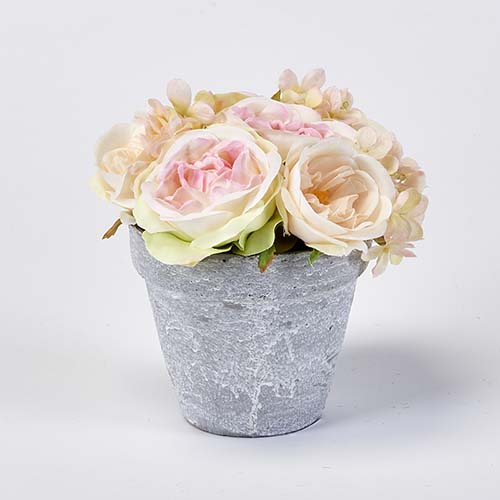 Roses in 6" Ceramic Pot -CLOSEOUT