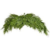 42" Artificial Christmas Real Touch Cypress Crescent Swag