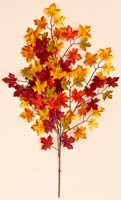 27" Mini Maple Leaf Spray w/ 75 Leaves