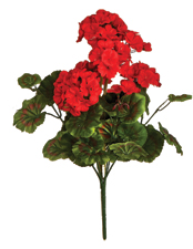 18" 9 Head Geranium Bush