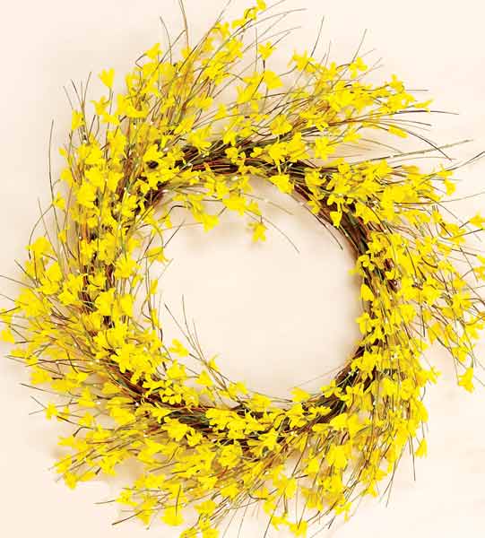 22" Forsythia Wreath