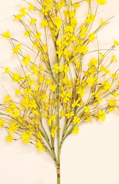 32" Forsythia Spray