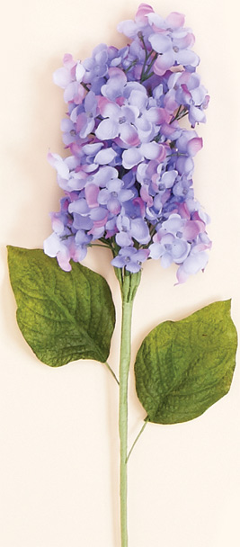 Lilac on Long Stem