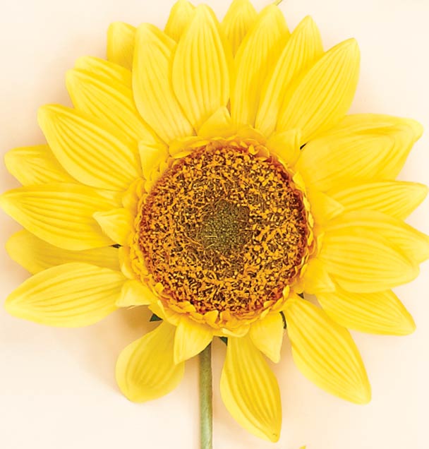 34" Sunflower Stem (Flowerhead is 12" Across)
