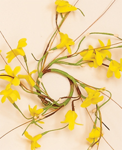 1.25" Forsythia Candle Ring