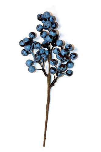 9" Blueberry Pick
