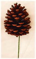 Gold Pinecone Picks 