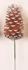 5" Gold/White Pine Cone Pick