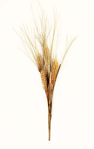 20" Artificial Wheat Spray