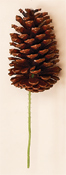 5" Lacquered Natural Pine Cone Pick