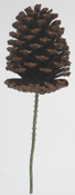 5" Lacquered Natural Pine Cone Pick
