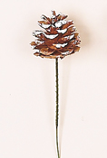 3" White Tip Pine Cone Pick