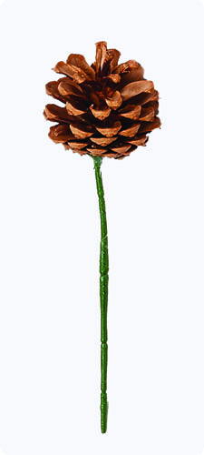 3" Natural Pine Cone Pick