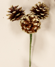 3" Gold Tip Natural Pine Cone Pick X 3