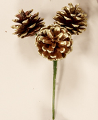 3" Gold Tip Natural Pine Cone Pick X 3
