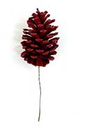 5" Red Pine Cone Pick