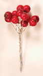 4" Red Berry Pick