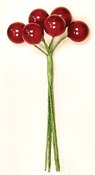 Large Berry Pk X 6