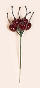 6" Cherry x 6 Pick