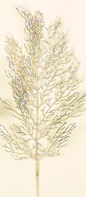 21" Coral Fern Spray - 2 Assorted