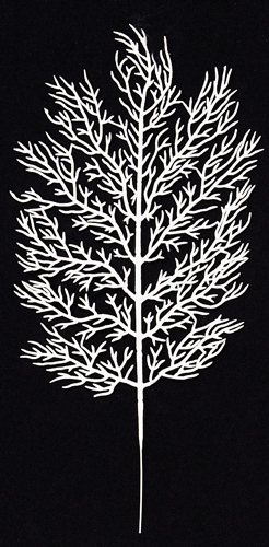 13.5" White Coral Fern Branch