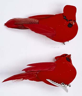 3" Cardinal