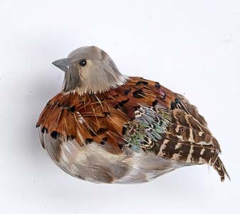 5" Feathered Partridge