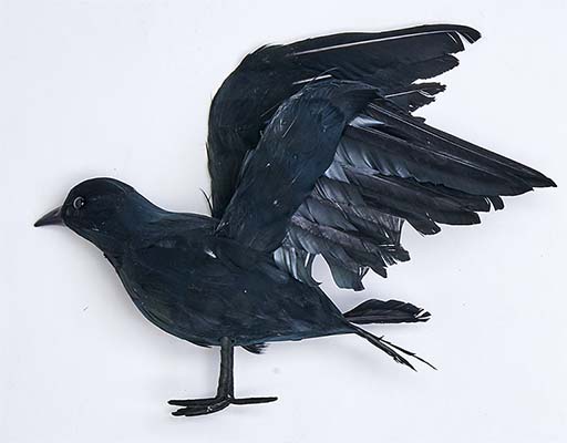 10" Feathered Crow