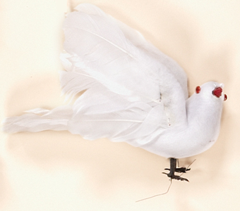 6.5" White Dove, Open Wing