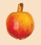 3.5" Weighted Pomegranate