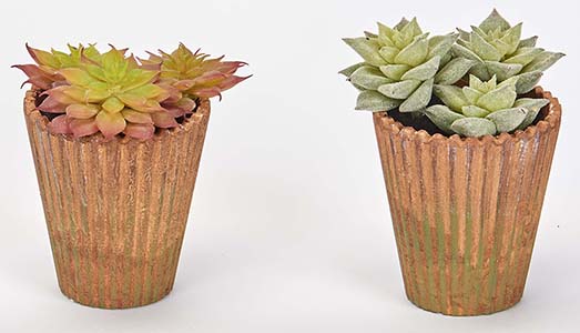 3.5" Potted Faux Succulents, 2 Assorted
